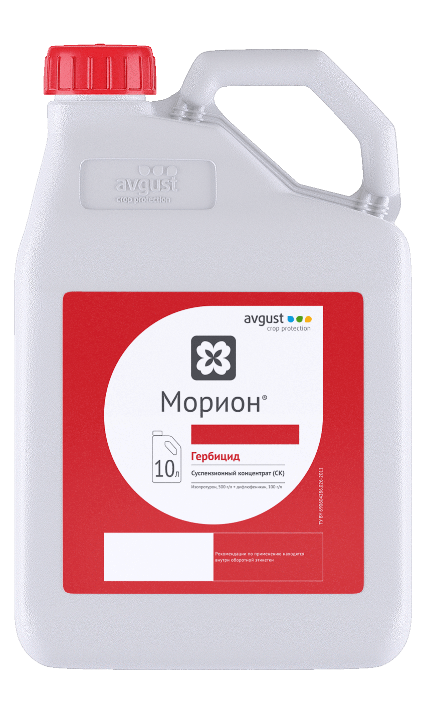 НордСтрим